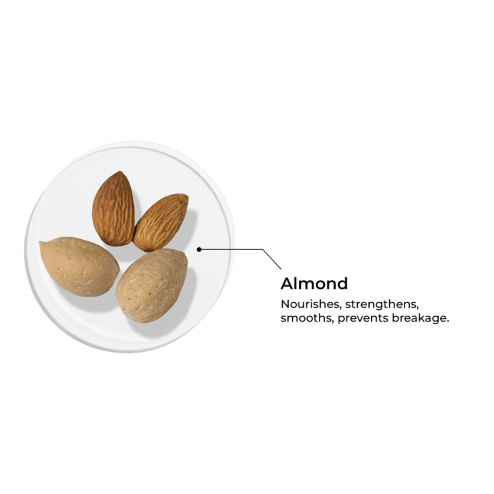 Brillare 100% Pure Cold Pressed Almond Oil Organic Almond Oil for Hair Growth & Glowing Skin