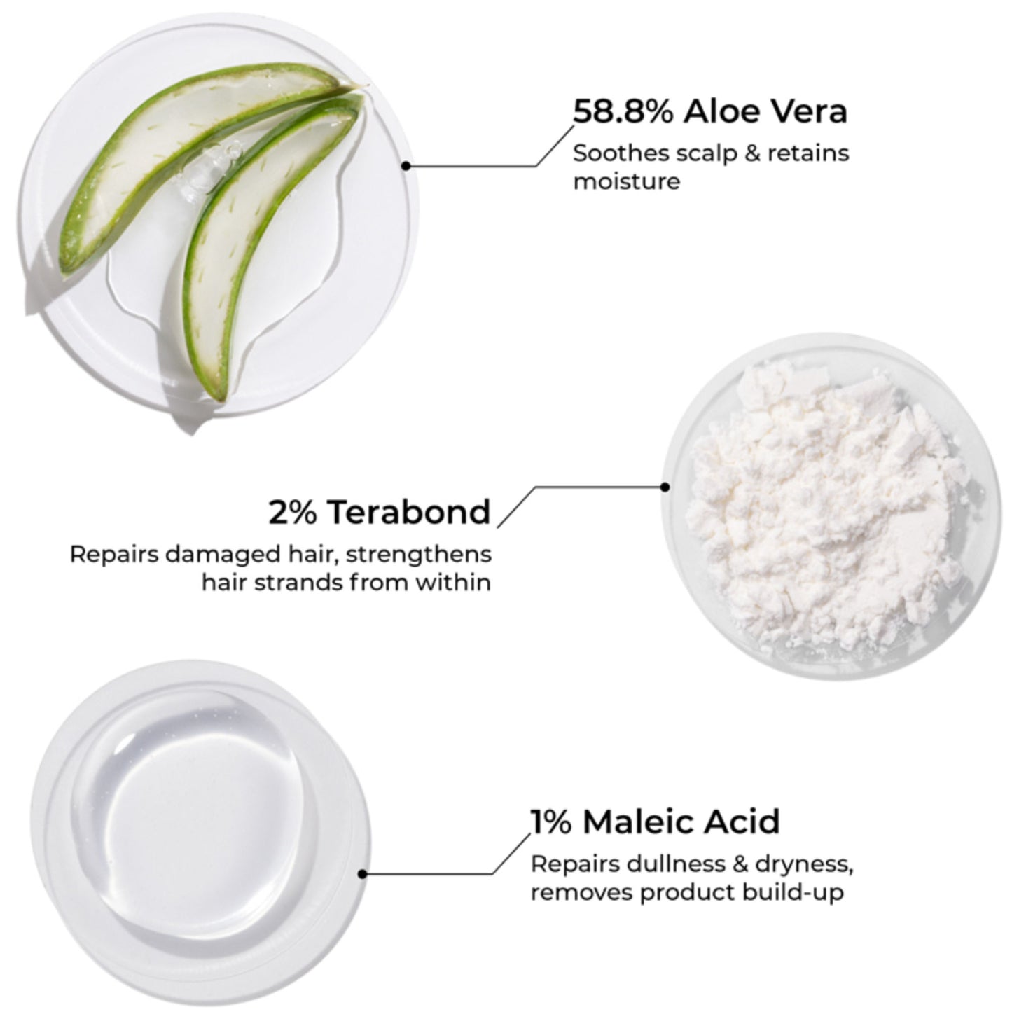 Brillare Terabond Bond Repair Shampoo Repairs Damaged Hair Shampoo for Frizzy & Dry Hair