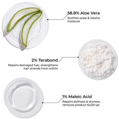 Brillare Terabond Bond Repair Shampoo Repairs Damaged Hair Shampoo for Frizzy & Dry Hair