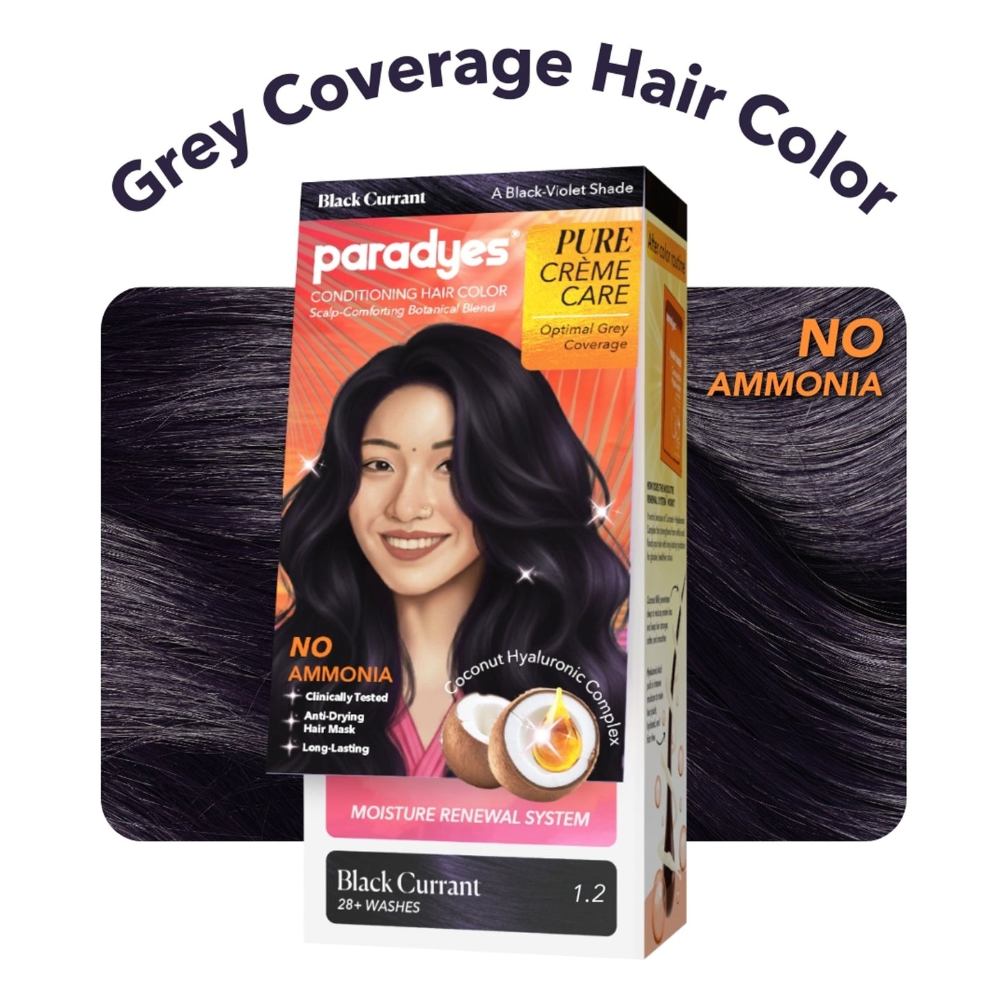 Paradyes Pure Creme Care No Ammonia Hair Color - Black Currant 3.16