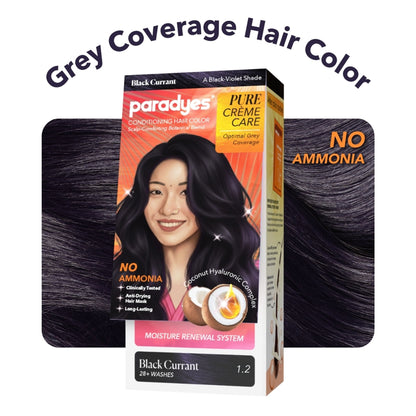 Paradyes Pure Creme Care No Ammonia Hair Color - Black Currant 3.16