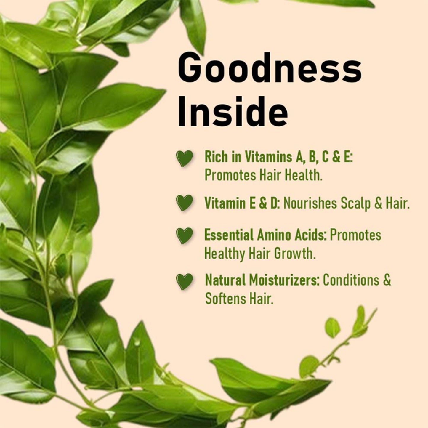 MINATURE Curry Leaves Powder