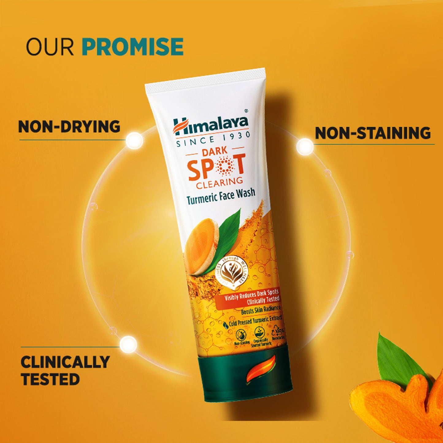 Himalaya Dark Spot Clearing Turmeric Face Wash