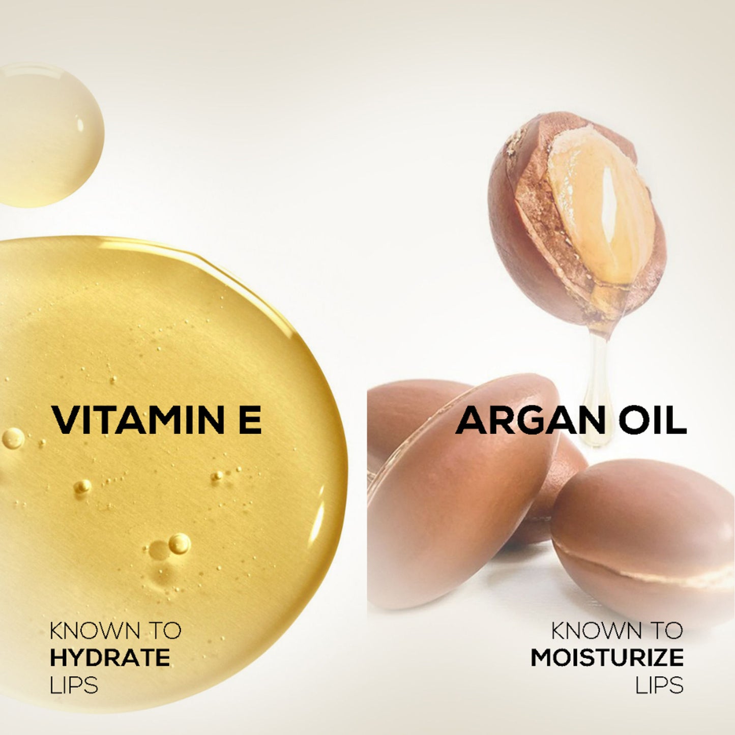 Insight Professional Longlasting Lip Color - Privileged