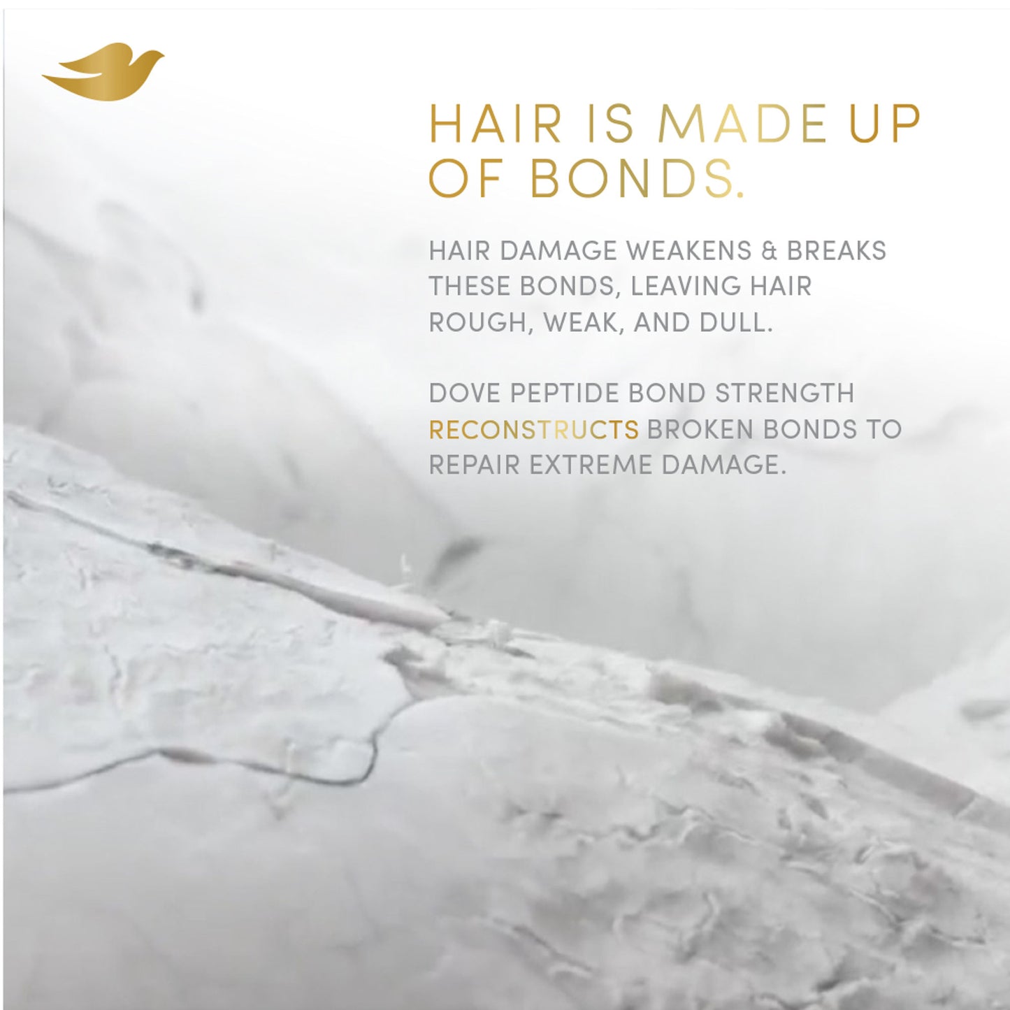 Dove Peptide Bond Strength Shampoo