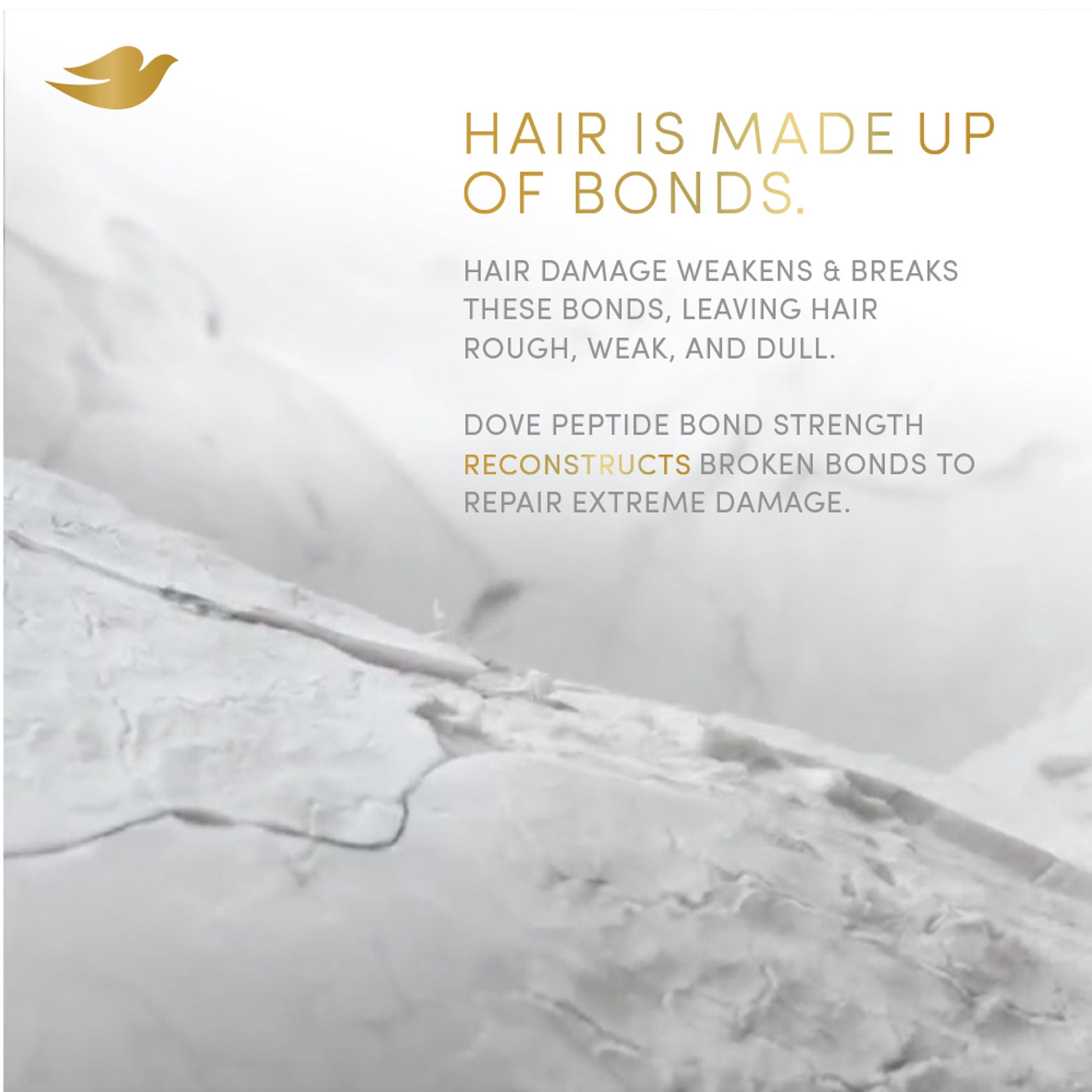 Dove Peptide Bond Strength Shampoo