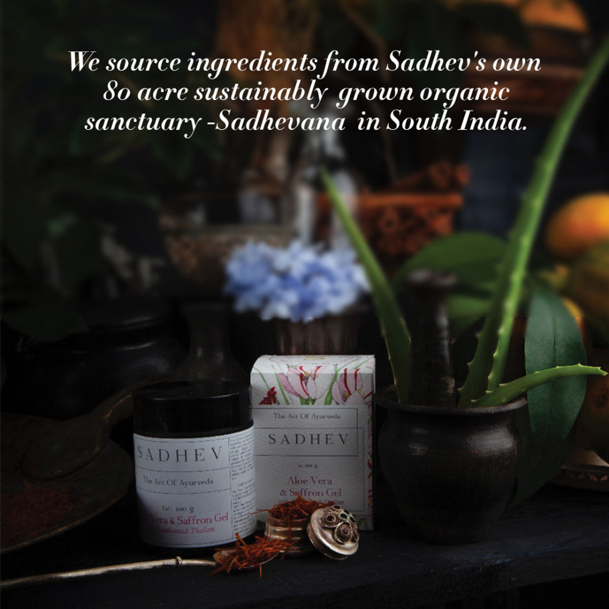 SADHEV Aloe Vera Gel With Saffron And Kumkumadi Thailam
