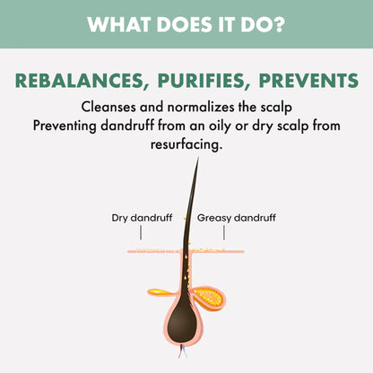 ALFAPARF MILANO Scalp Rebalance Clarifying Shampoo