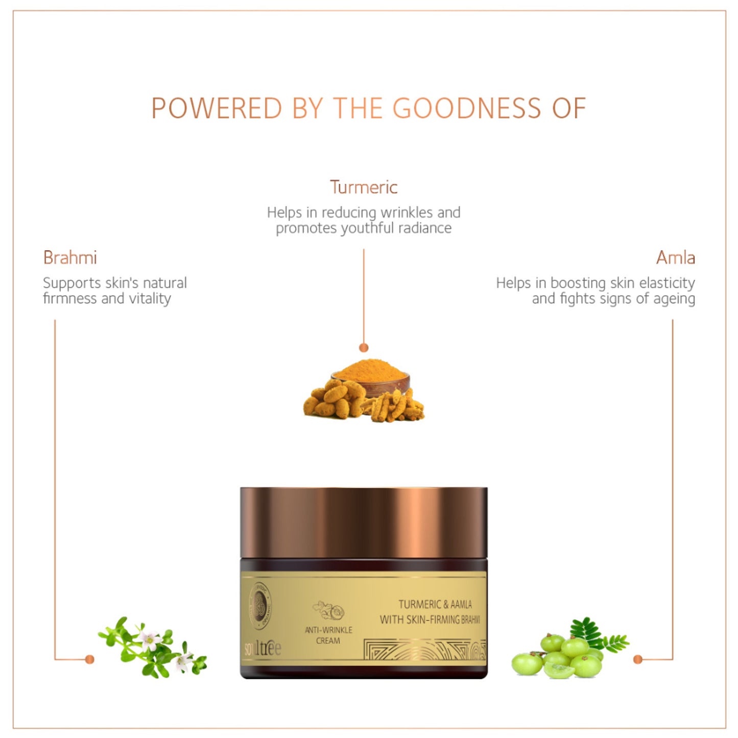 SoulTree Anti-Wrinkle Cream