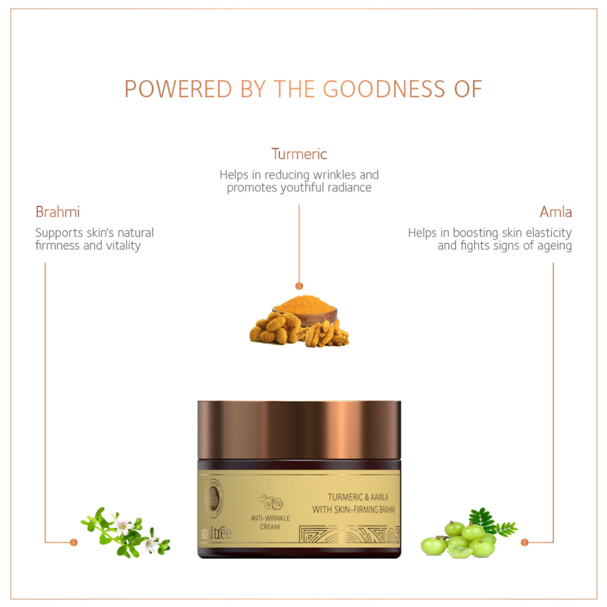 SoulTree Anti-Wrinkle Cream