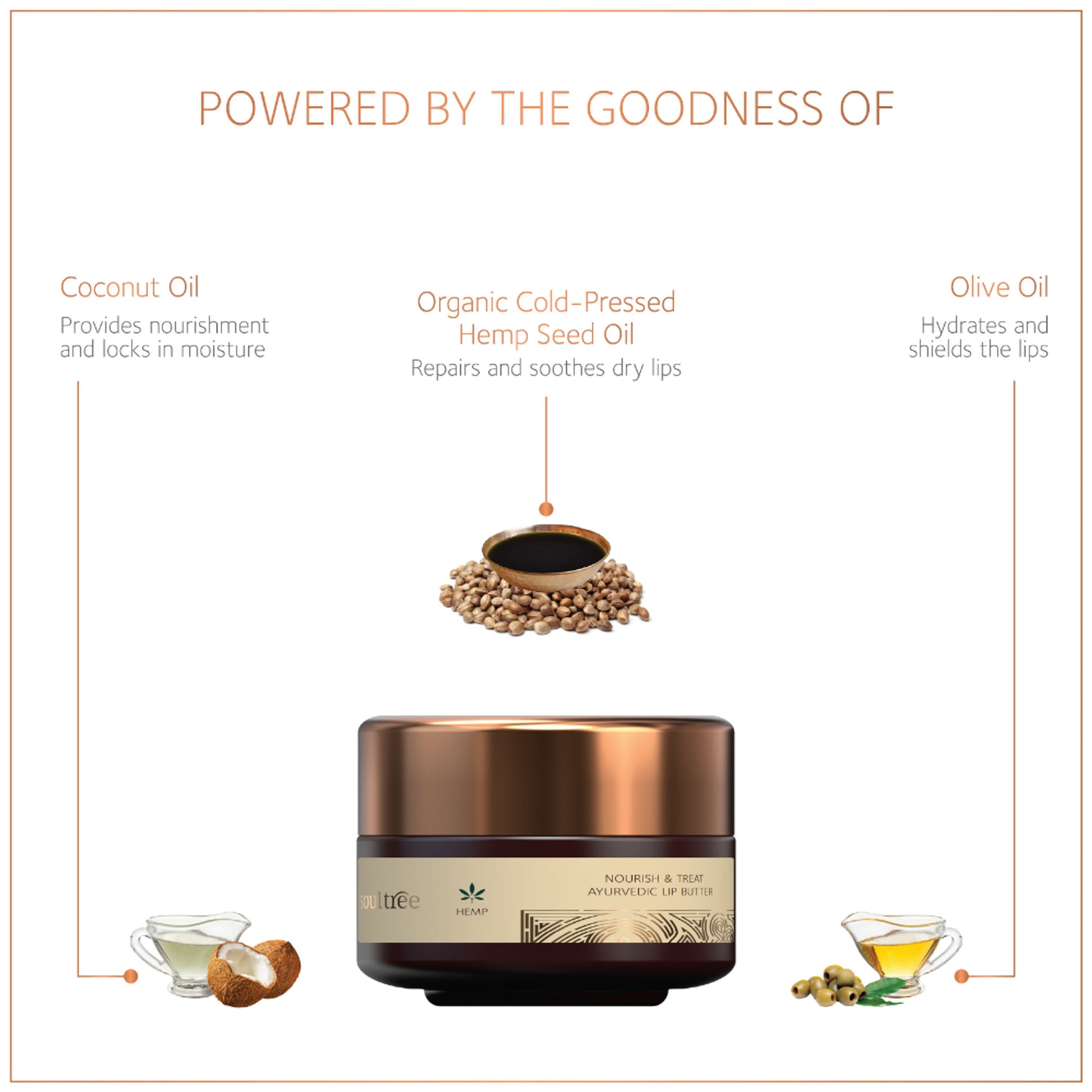 SoulTree Hemp Nourish & Treat Ayurvedic Lip Butter