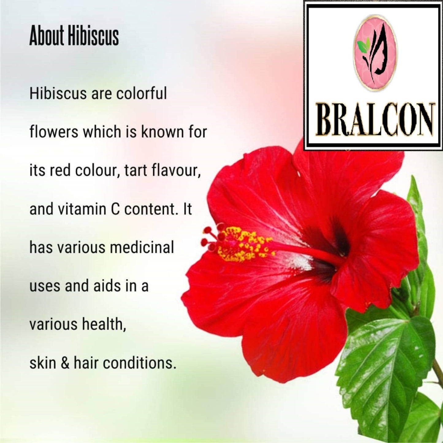 BRALCON Hibiscus Powder
