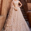 Women's Nude Net Sequinse embroidery Lehenga choli & Dupatta