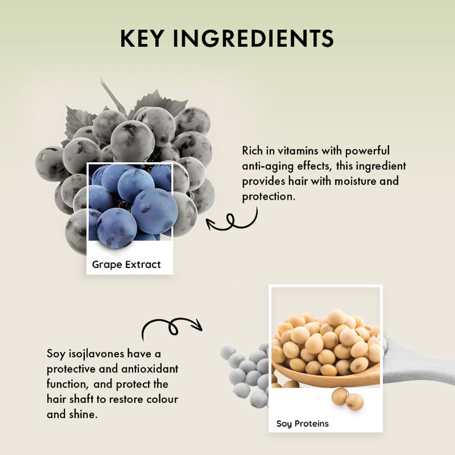 Naturica Moisturizing Defense Mask for Normal to Dry Hair, Hydrate with Grape Extract & Soy Protein