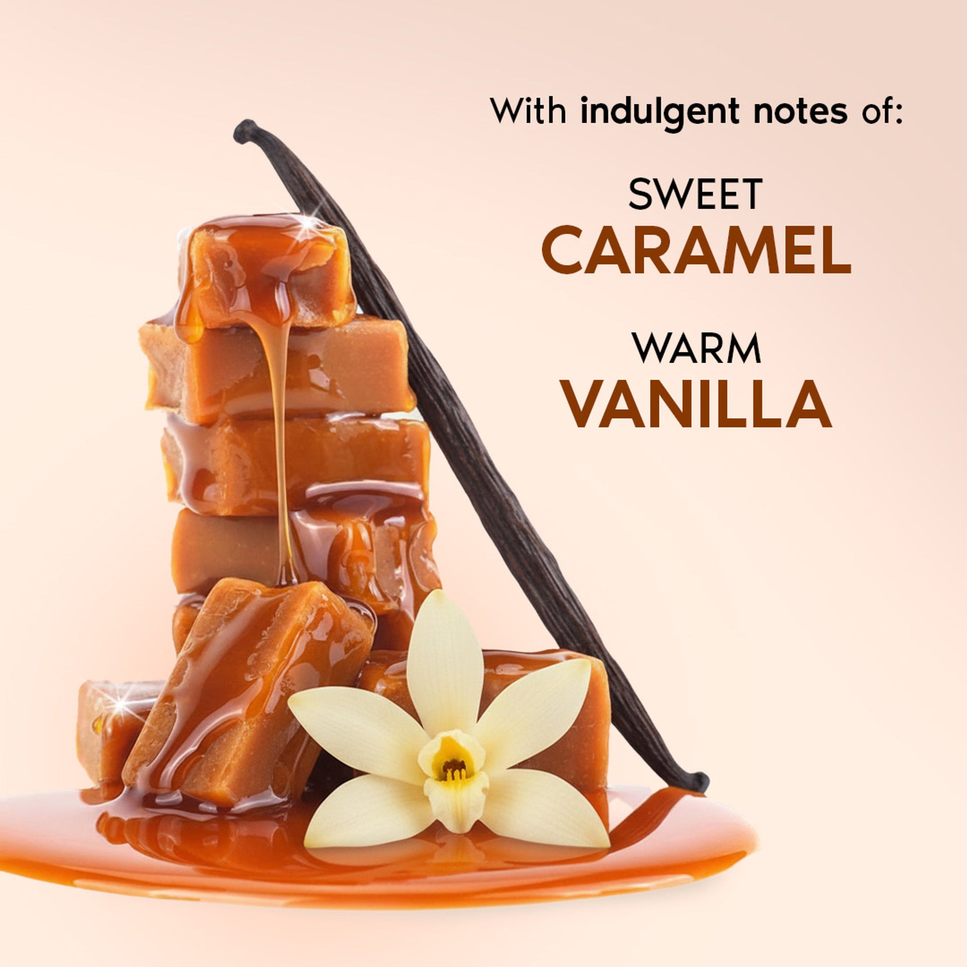 Nykaa Wanderlust Belgian Caramel Toffee Perfume Body Wash Lactic Acid Hydrating Brightening Vanilla