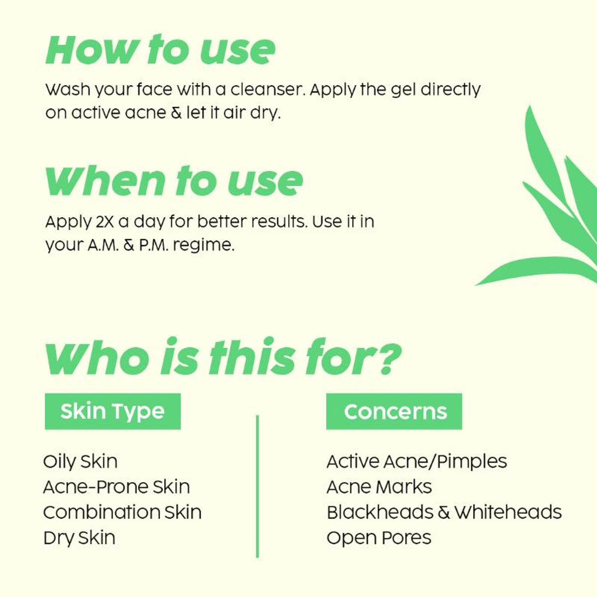 Plix 2% Salicylic Acid Acne Spot Corrector Gel For Reducing Active Acne, Controls Oil and Acne Scars