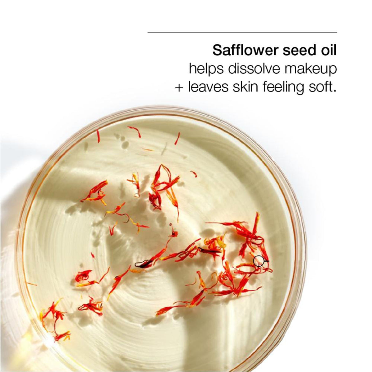 Clinique Take The Day Off Cleansing Balm (Makeup Remover)