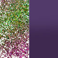 Committed Conflicted
