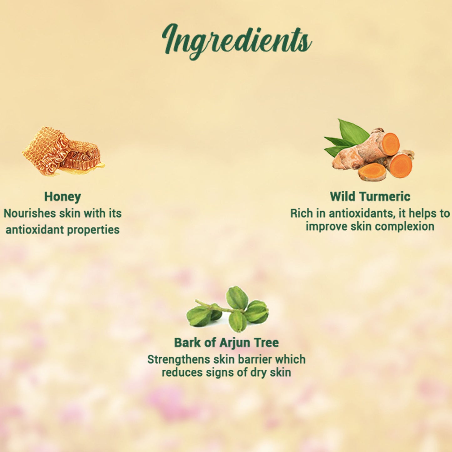 Biotique Bio Honey Gel Refreshing Foaming Face Wash