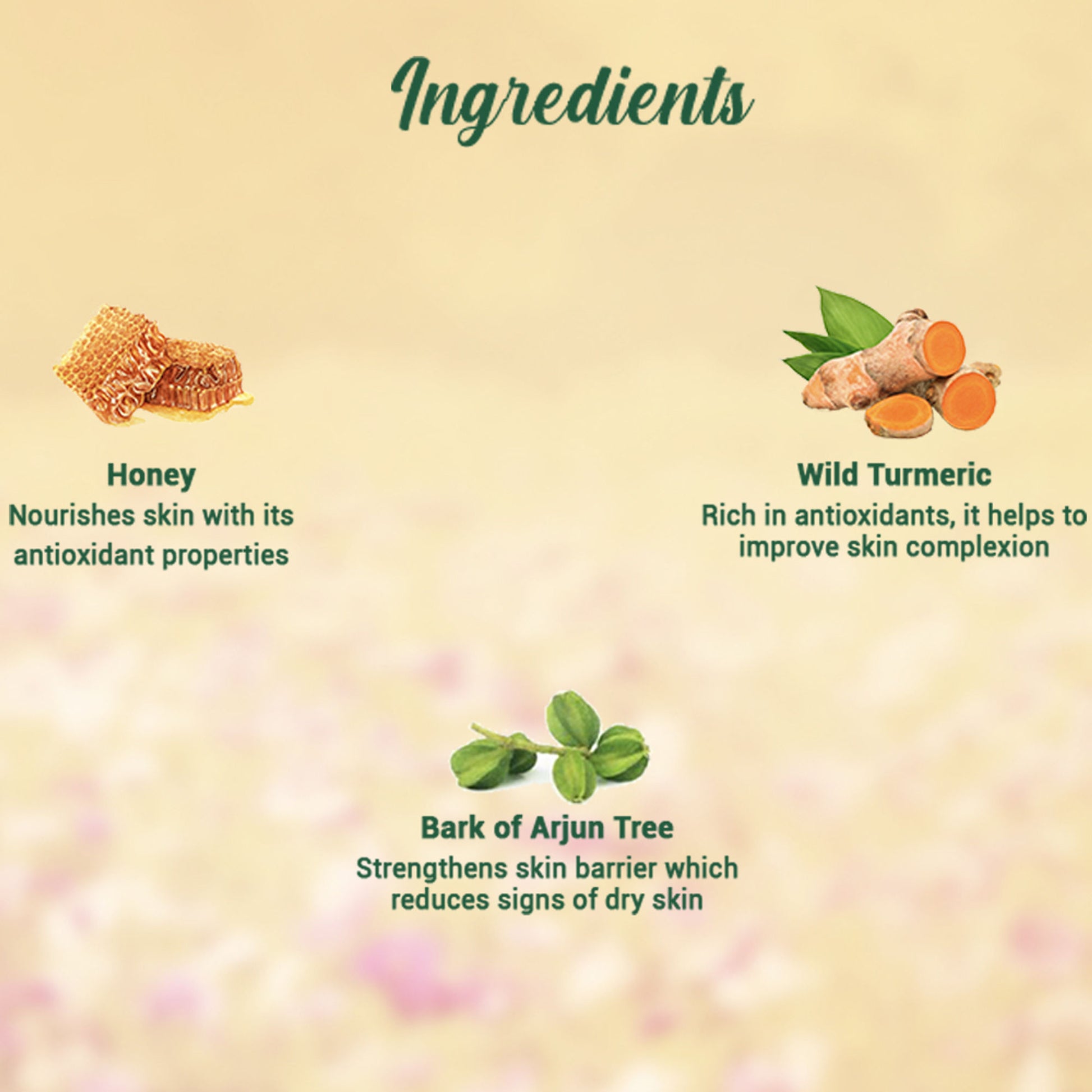Biotique Bio Honey Gel Refreshing Foaming Face Wash