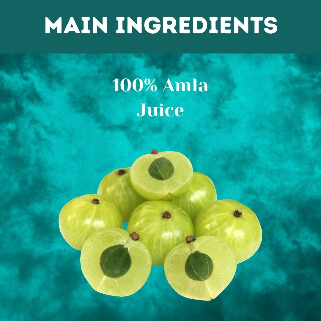 Herbal Hills Amla Swaras Health Juice