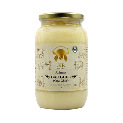 Gir Ahinsak Gau Ghee (A2) Bilona from Gir Gauveda, traditional desi cow ghee with pure breed Gir Gaumata for cooking and health.