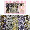 Confect Halloween sprinkles Multipack 1 (New)