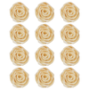 Confect Pearl | Edible Metallic Sugar Roses Topper