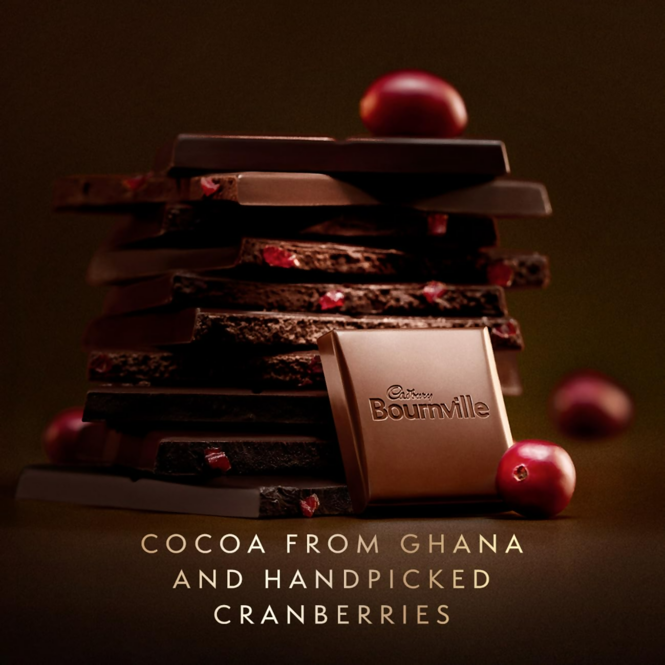 Cadbury Bournville Cranberry dark chocolate bar with visible cranberry pieces and smooth dark chocolate surface.