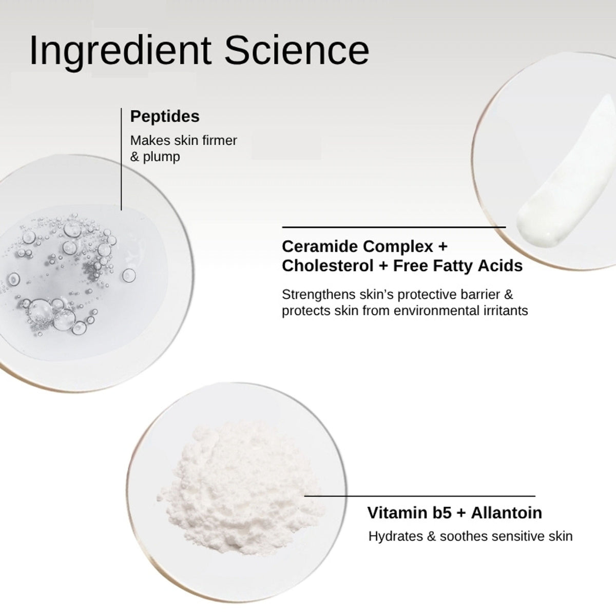 The Formularx Barrier Plus Peptide Ceramide Moisturizer For Dry, Normal, & Sensitive Skin