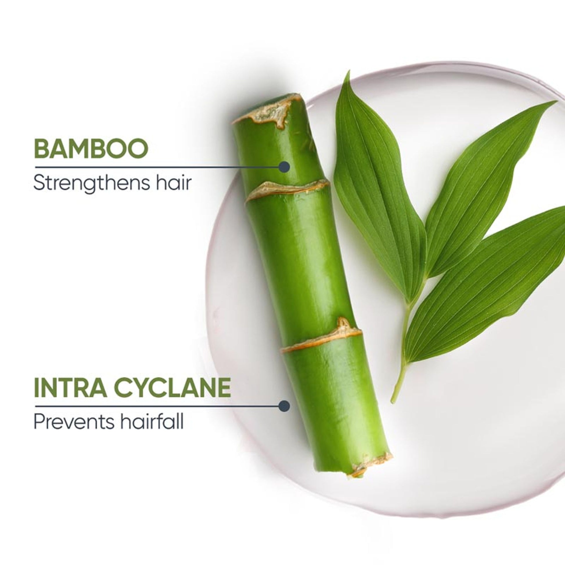 Biolage Fiberstrong Professional Conditioner for Hair Breakage, 12x Strength in Weak Hair