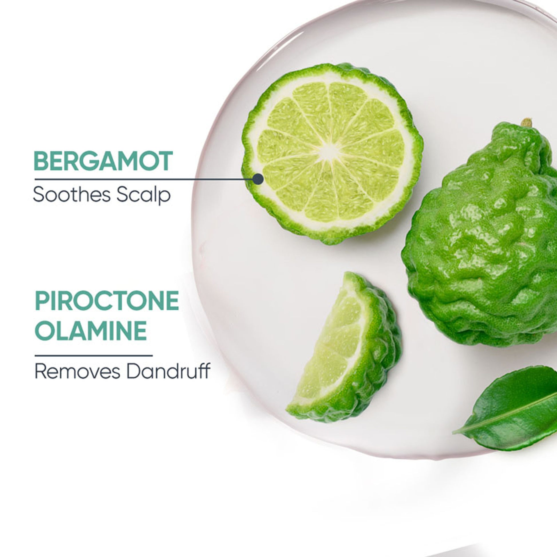 Biolage Scalppure Professional Anti-Dandruff Conditioner, Removes Visible Flakes in 1st WASH