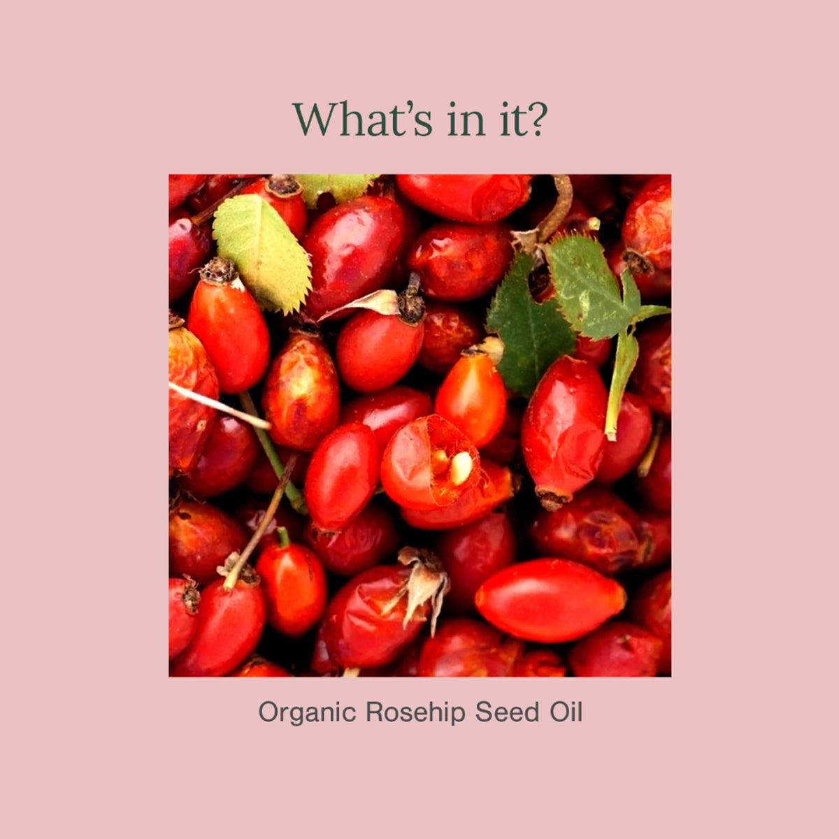 Juicy Chemistry Organic Rosehip Seed Oil