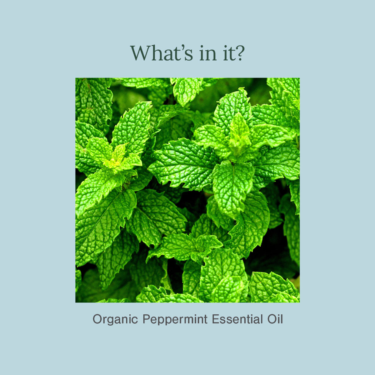 Juicy Chemistry organic peppermint essential oil in a small glass bottle with a dropper cap, showing the product label.