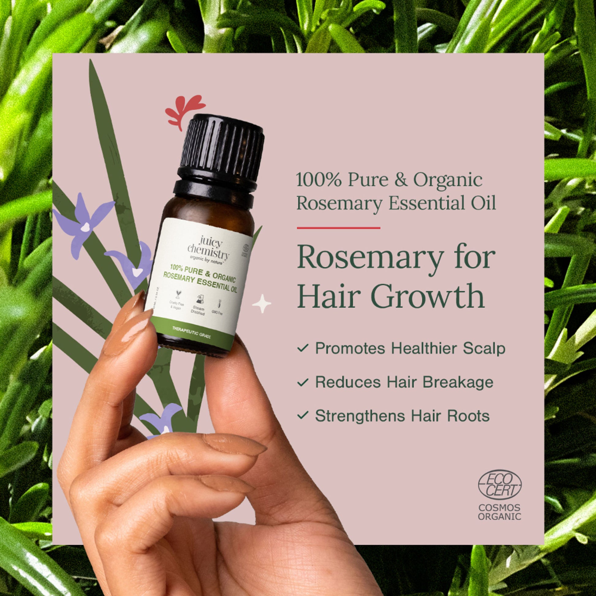 Juicy Chemistry 100% Pure & Organic Rosemary Essential Oil