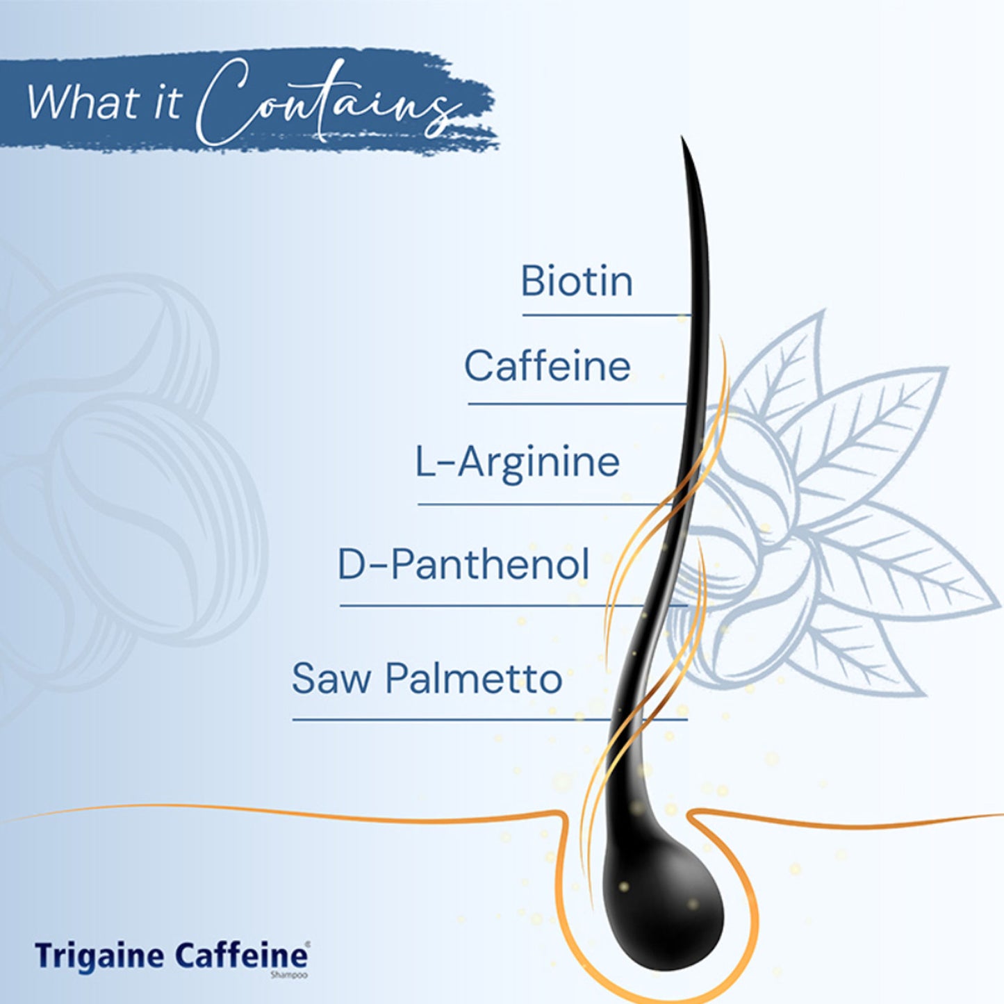 Trigaine Caffeine DHT Blocking Anti Hairfall Shampoo Reduces Hair Fall, Caffeine, Arginine & Biotin