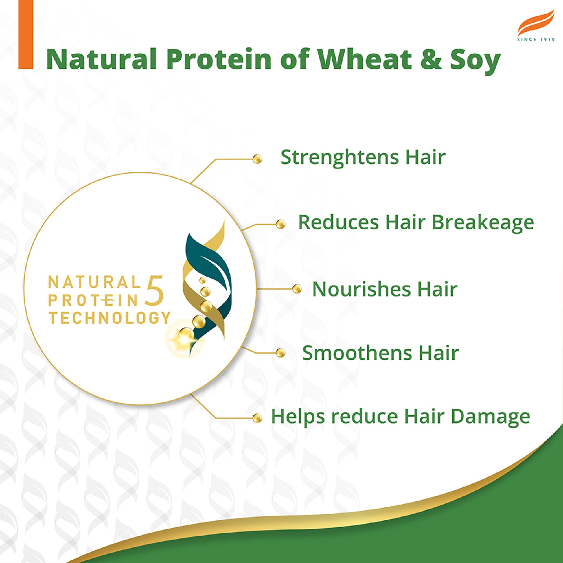 Himalaya Gentle Daily Care Protein Shampoo With Chickpea, Licorice & Amla