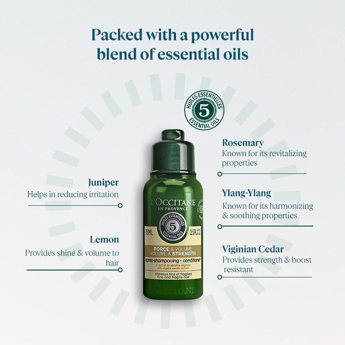 L'Occitane Strength & Volume Conditioner