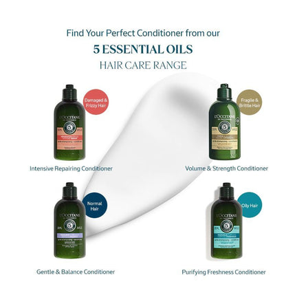 L'Occitane Strength & Volume Conditioner