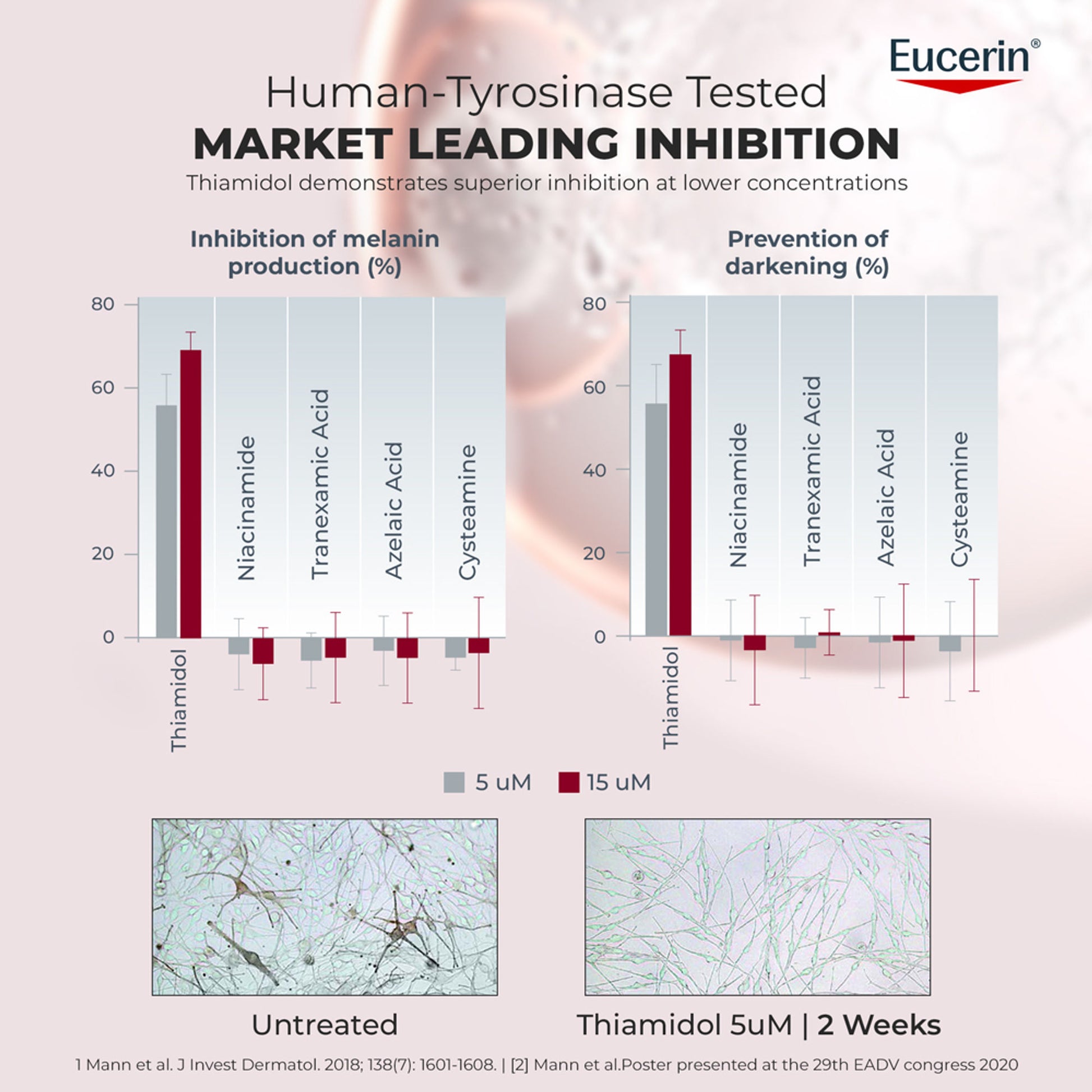 Eucerin Anti-Pigment Night Cream With Thiamidol Reduces Dark Spots & Night Regeneration