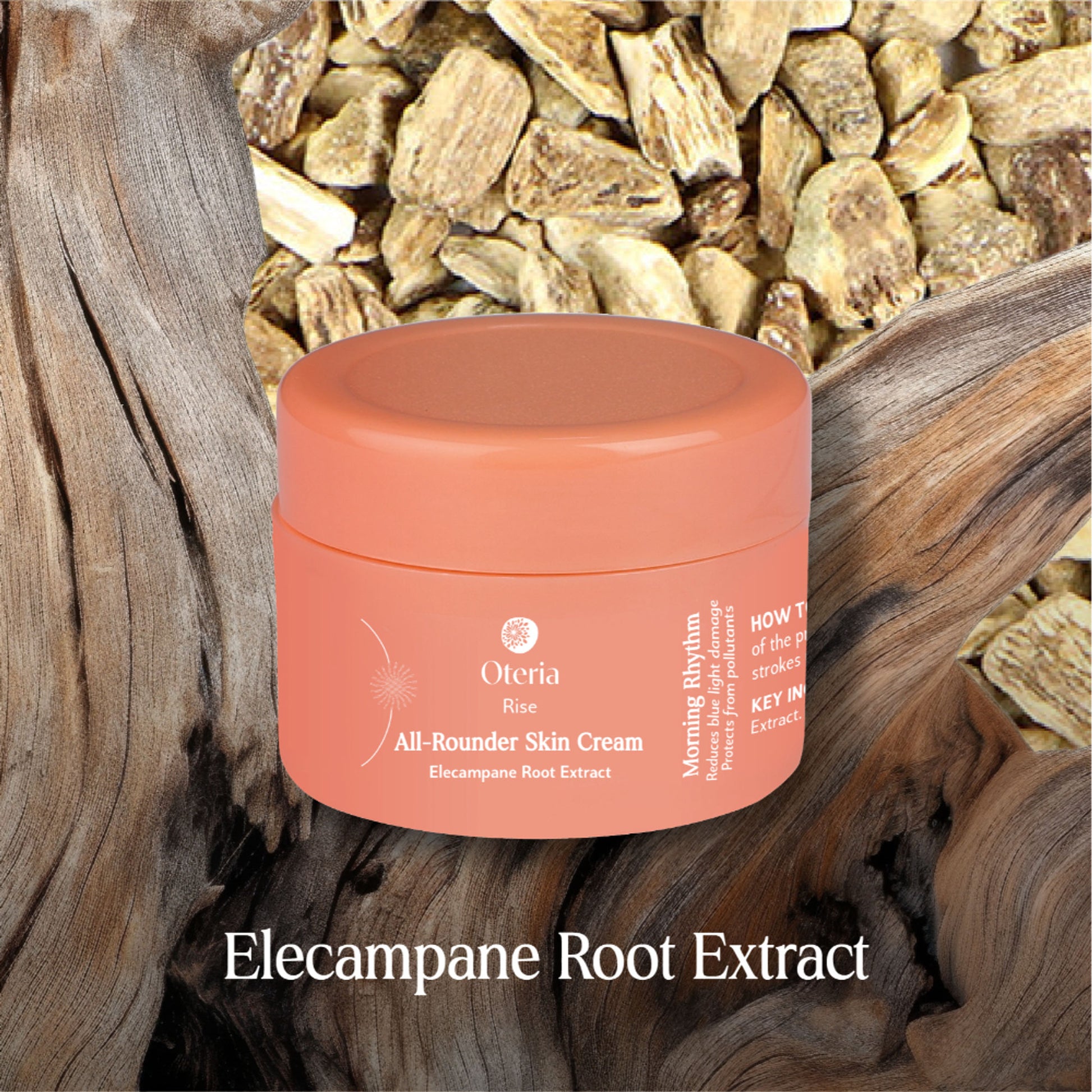 Oteria All Rounder Skin Day Cream With Elecampane Root Extract For Pigmentation And Dark Spots