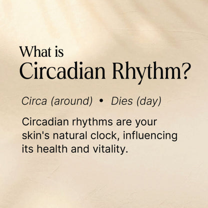 Oteria All Rounder Skin Day Cream With Elecampane Root Extract For Pigmentation And Dark Spots