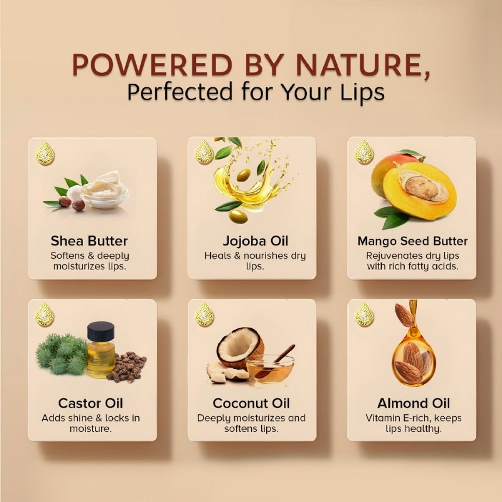 Dunamiss Glimmer Lip Balm