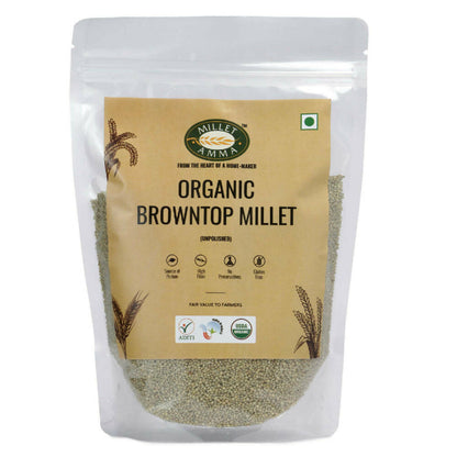 Millet Amma Organic Browntop Millet Grains - Indyancart