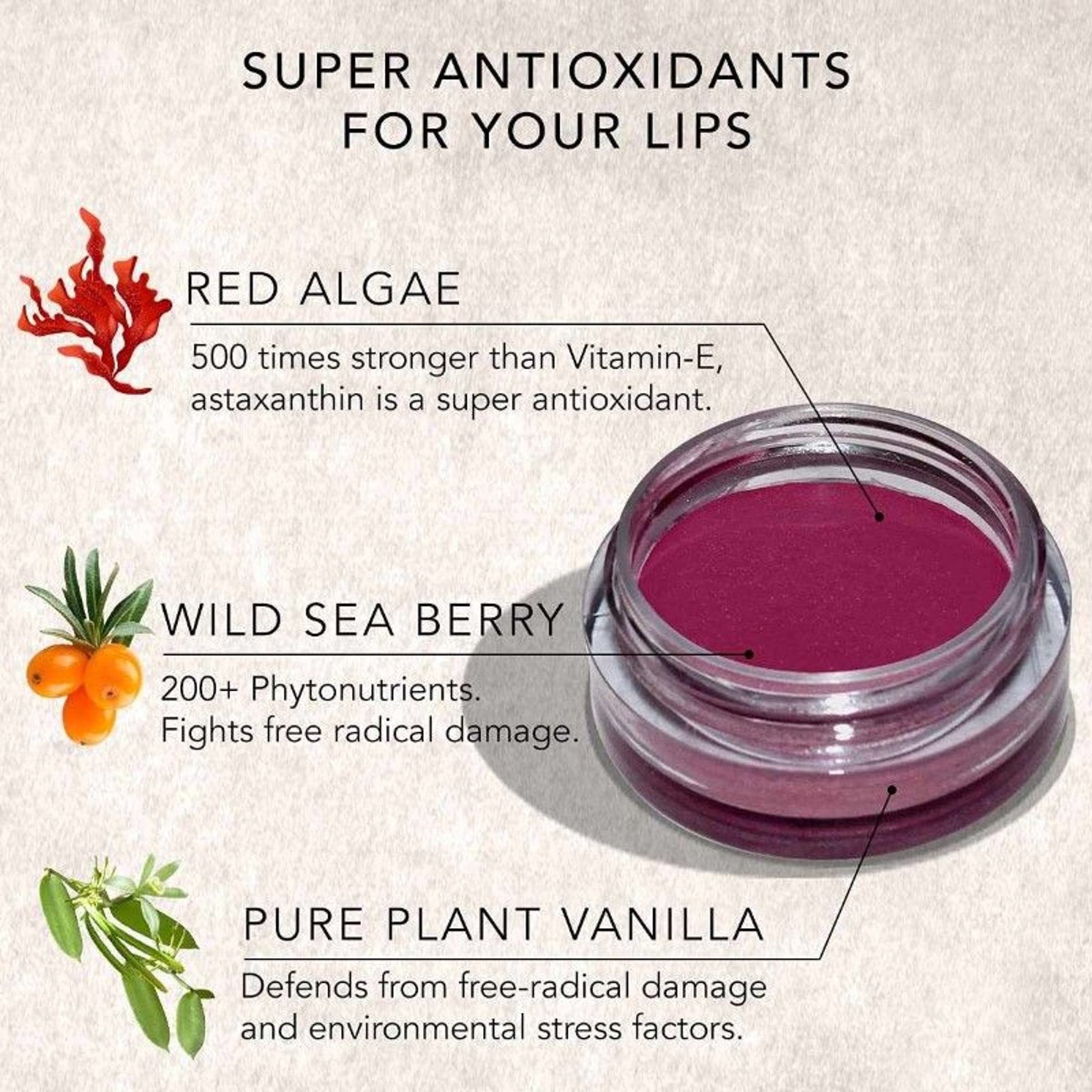 Daughter Earth 100% Vegan Lip & Cheek Tint - Fonce Red