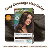 Paradyes Mini Root Touch Up Timeless Permanent Creme Hair Colour - 3.0 Dark Brown