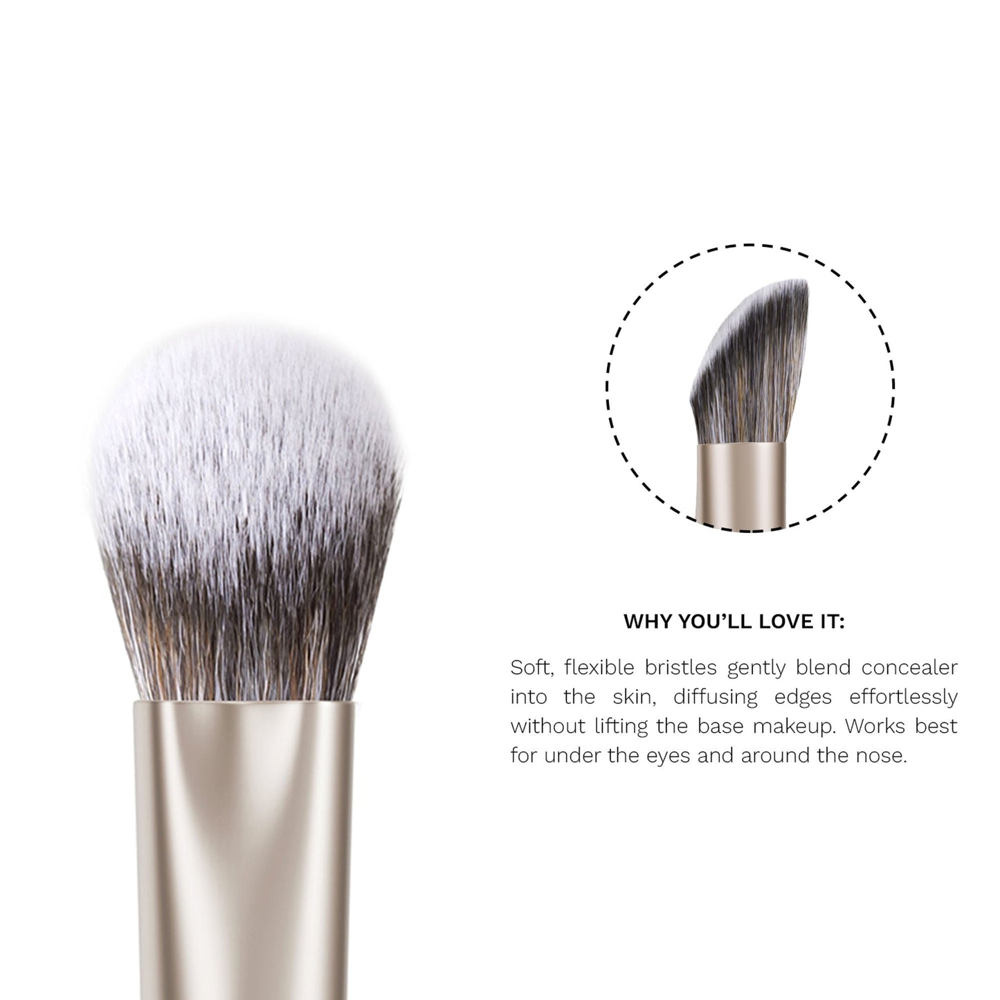 PAC Studio S08 Concealer Blending Brush - Dome Shaped Lightly Packed Bristles, Ensures Effortless Blending