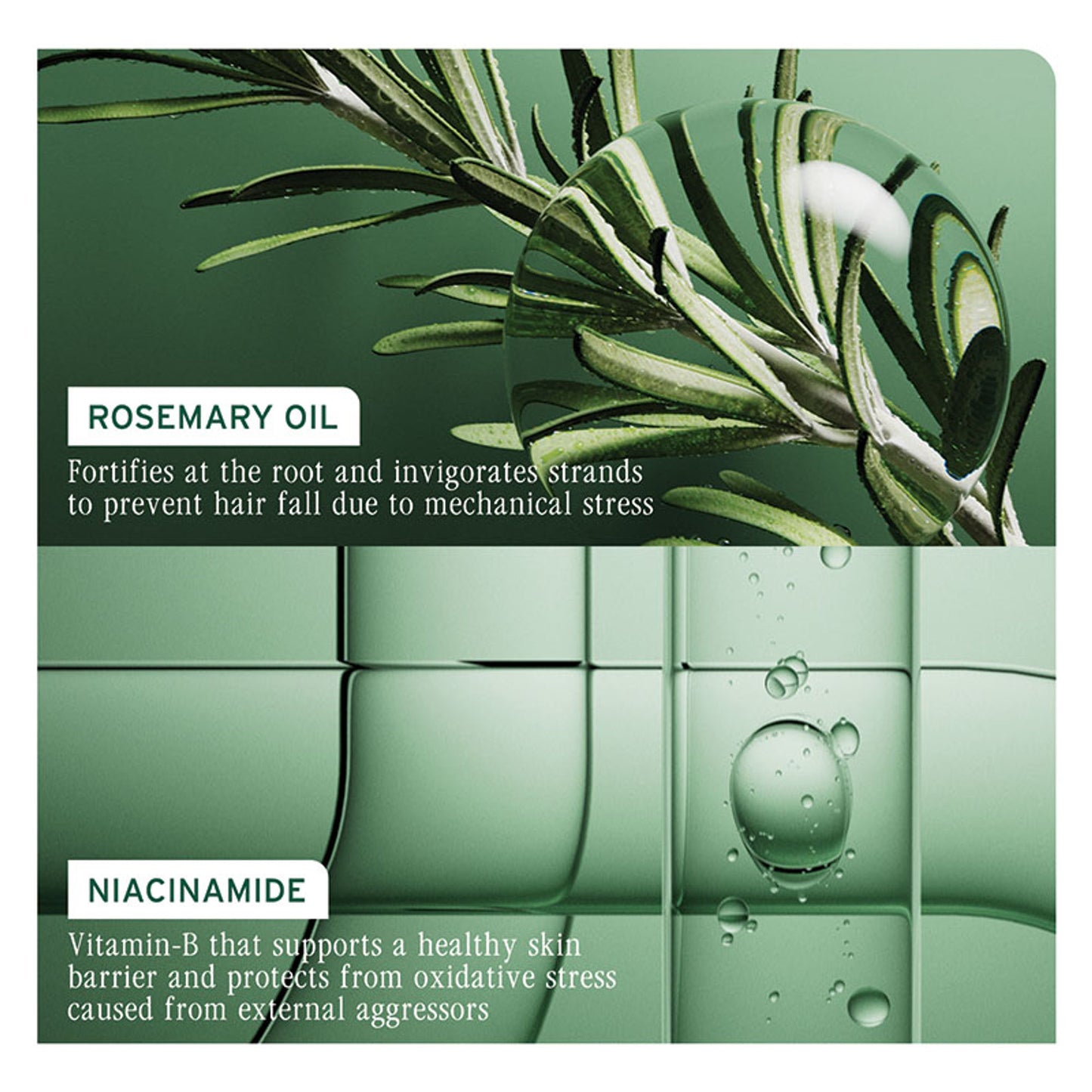 Biolage Full Rescue Shampoo for Hair Breakage, 74% Resistance to Hairfall, For Fragile Hair