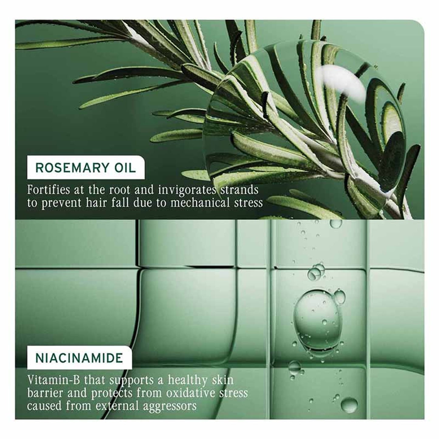 Biolage Full Rescue Conditioner for Hair Breakage with Rosemary Oil, 74% Resistance to Hairfall