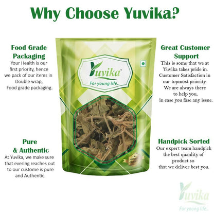 Yuvika Gurmar leaves, Gymnema Sylvestre, Ayurvedic herb, fresh green Gudmar leaves on a natural background.